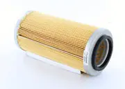 AF26230 AIR FILTER