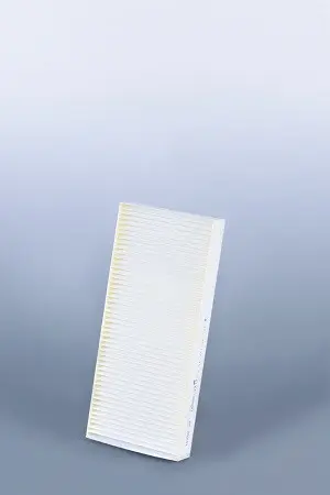 AF26231 AIR FILTER
