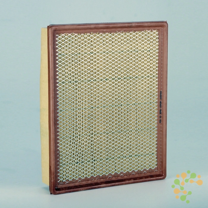 P602657 Donaldson Air Filter