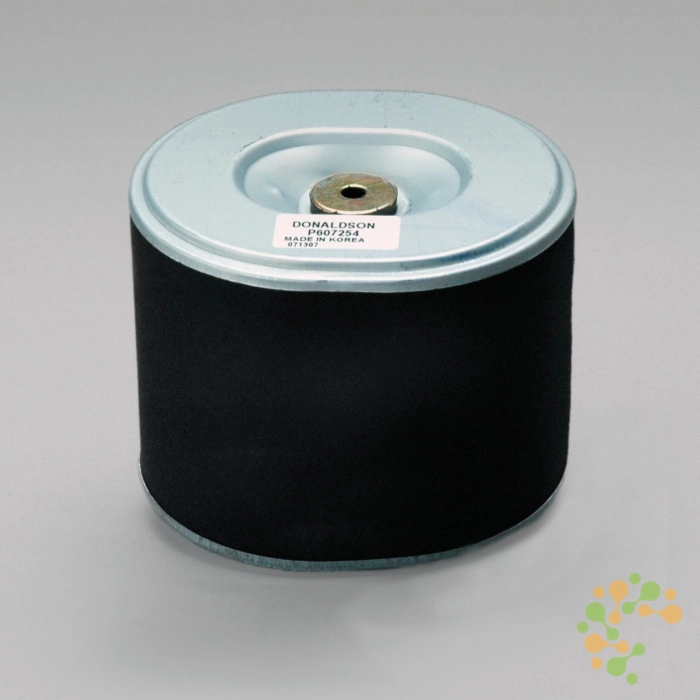 P607254 Donaldson Air Filter