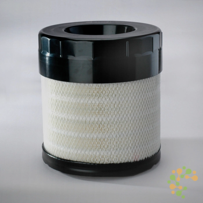 P783543 Donaldson Air Filter