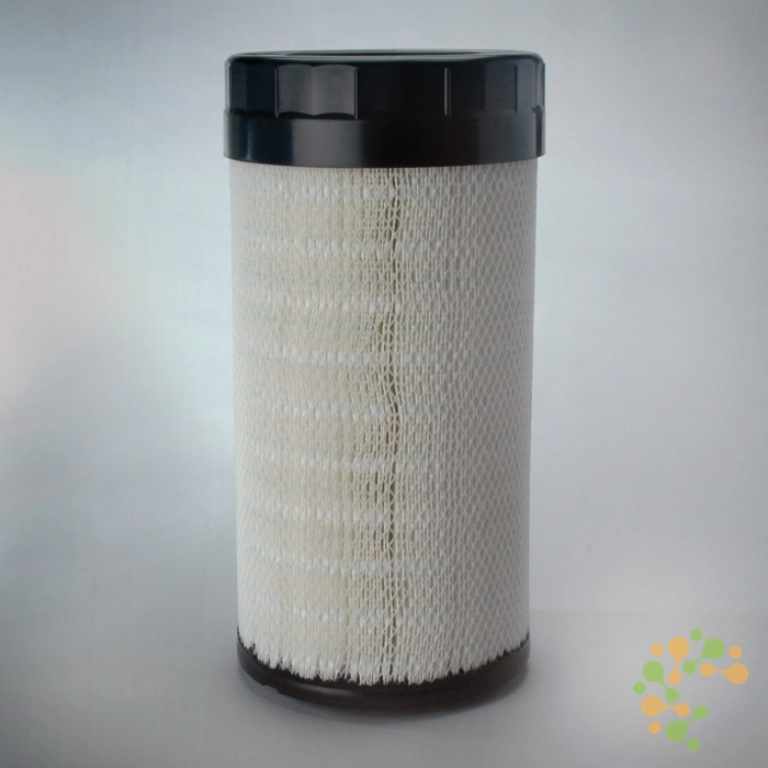 P785396 Donaldson Air Filter