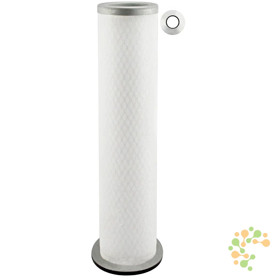 PA2419 Baldwin Air Filter